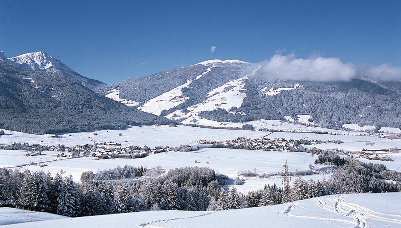 Scherer 3*